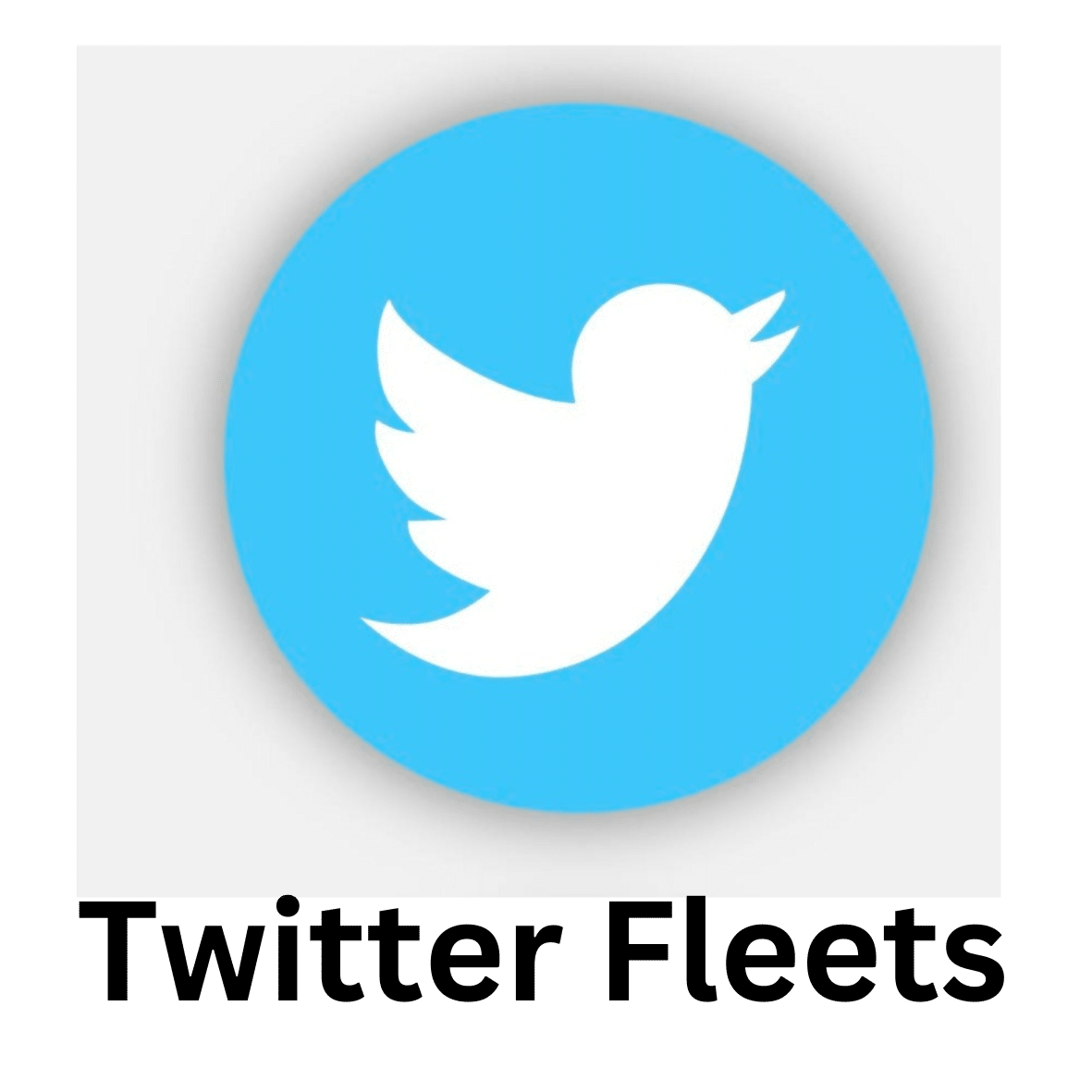 Twitter Fleets